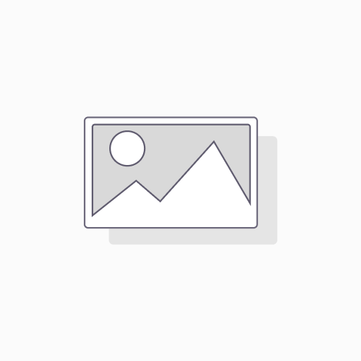 Computer and Data Processing Services